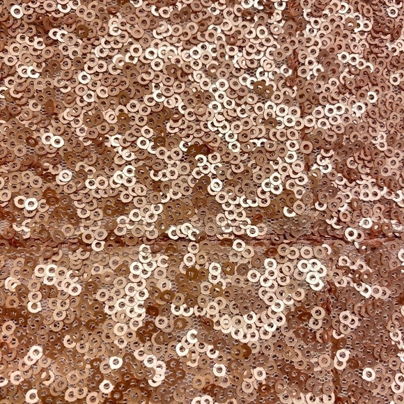 NWT Gianni Bini Juliet Dress Rose Sequin Feminine Fairytale Size 4 - Picture 8 of 17